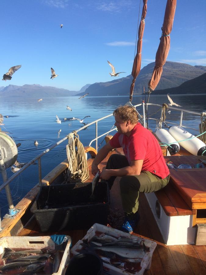 ホテル Elvegard Fjordcamp Grov エクステリア 写真