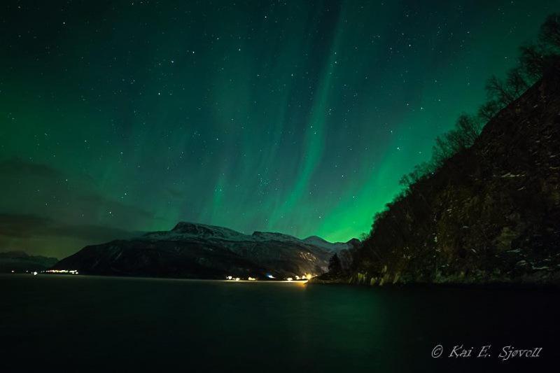 ホテル Elvegard Fjordcamp Grov エクステリア 写真